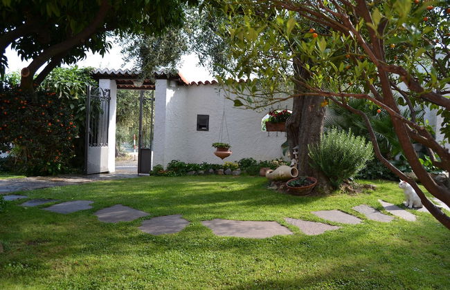 Azienda Agrituristica Villa Arianna - Foto 29