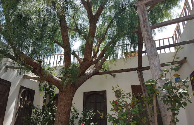 La Maison D'Hortense - Foto 6