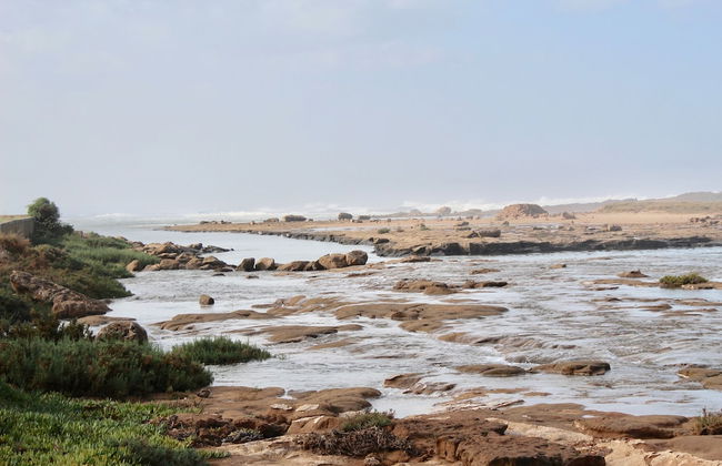 Aux Moules De Harhoura - Rabat - Foto 38