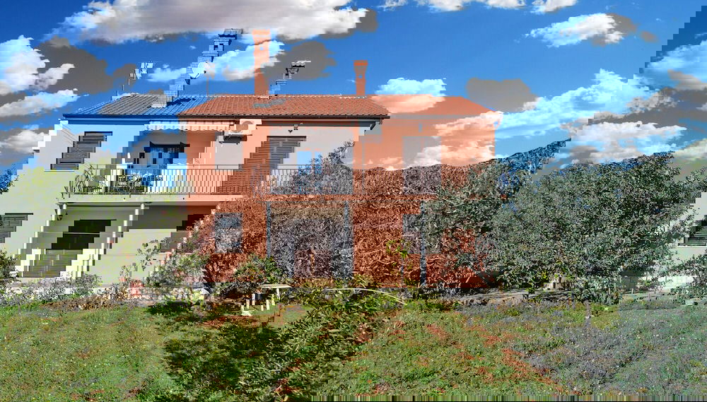 Imagem principal