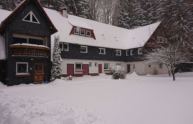 Ferienwohnungen Wiesenhof - Foto 10