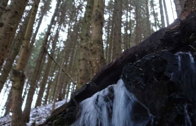 Ferienwohnungen Wiesenhof - Foto 14