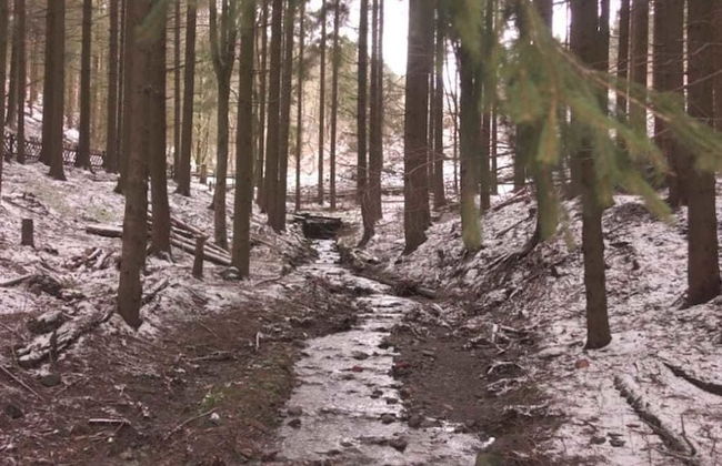 Ferienwohnungen Wiesenhof - Foto 12