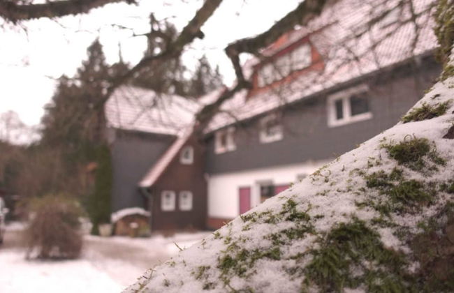 Ferienwohnungen Wiesenhof - Foto 13