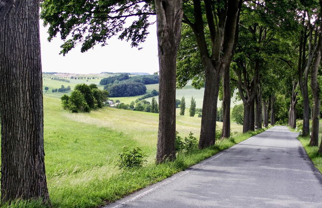 Ferienhaus Drebach - Foto 29