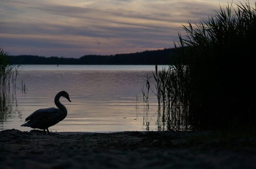 Photo 35 - Ferienpark Canow