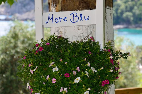 Photo 63 - Mare Blu