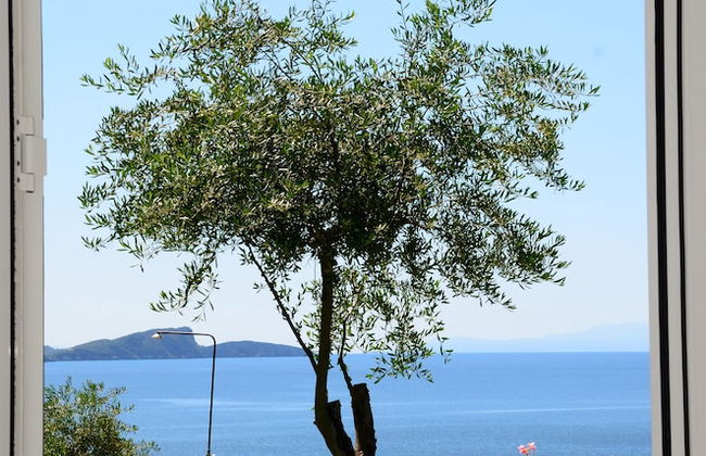 Mare Blu - Foto 43