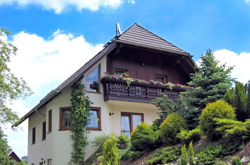 Foto 30 - Beautiful Apartment in Pohla Saxony Near Ski Area