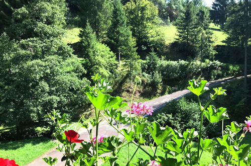 Photo 21 - Comfortable Apartment in Baiersbronn With Balcony