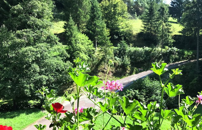 Comfortable Apartment in Baiersbronn With Balcony - Foto 23