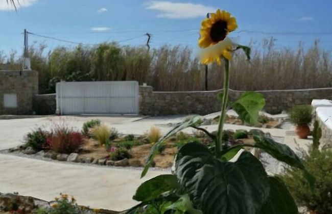 Desire Mykonos Apartments - Foto 38