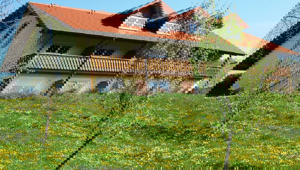 Imagem principal
