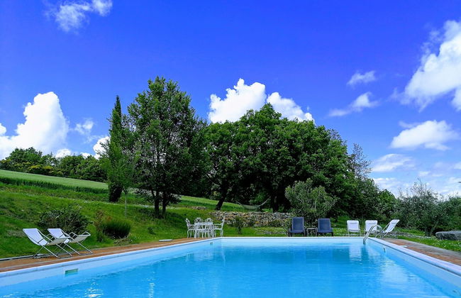Agriturismo Casa Greppo - L'Ulivo - Foto 26