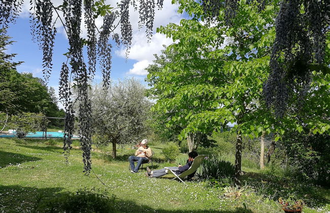 Agriturismo Casa Greppo - L'Ulivo - Foto 53
