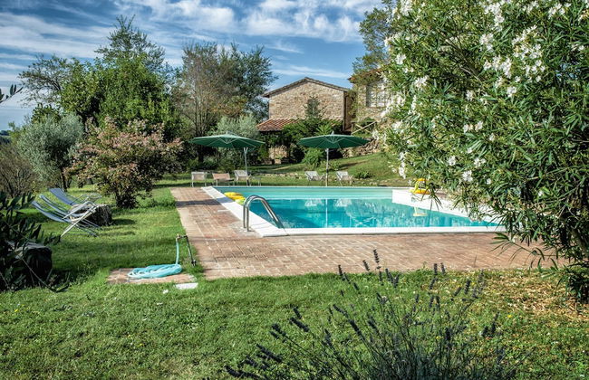 Agriturismo Casa Greppo - L'Ulivo - Foto 1