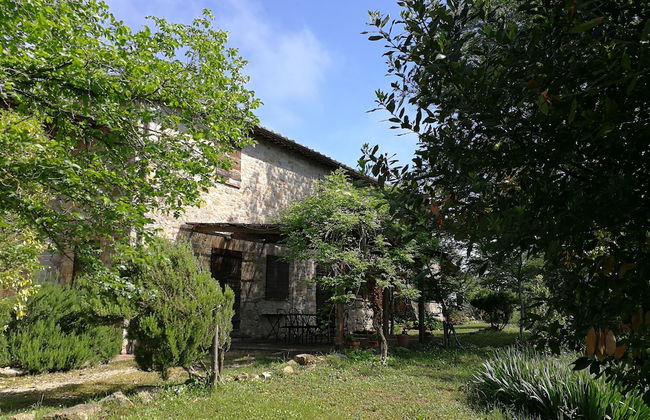 Agriturismo Casa Greppo - Il Mandorlo - Foto 31