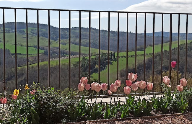 Agriturismo Casa Greppo - L'Ulivo - Foto 57