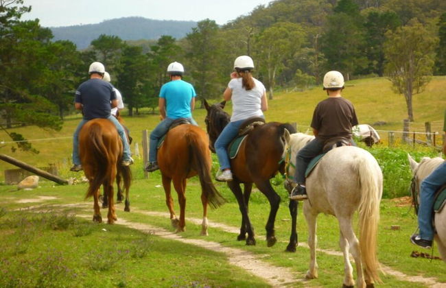 Adventure Tours Ni - Foto 16
