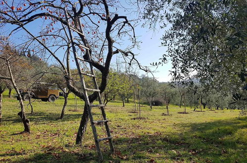 Photo 35 - Agriturismo Il Pintello