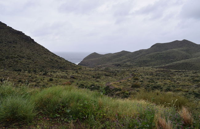 Cortijo la Molina de Cabo de Gata - Foto 35