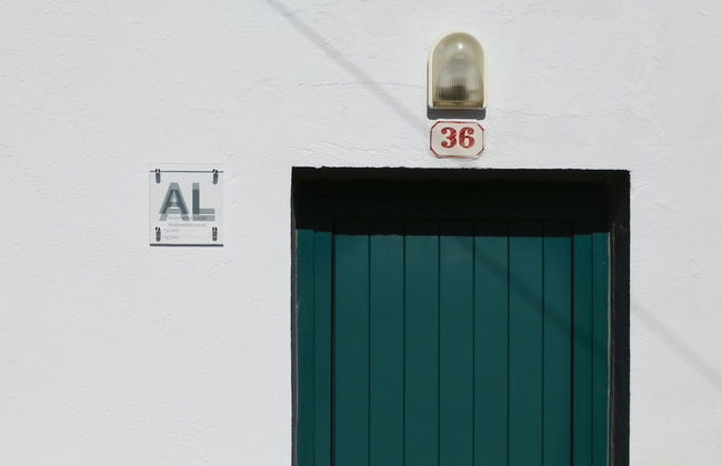 Magnólia - Foto 11