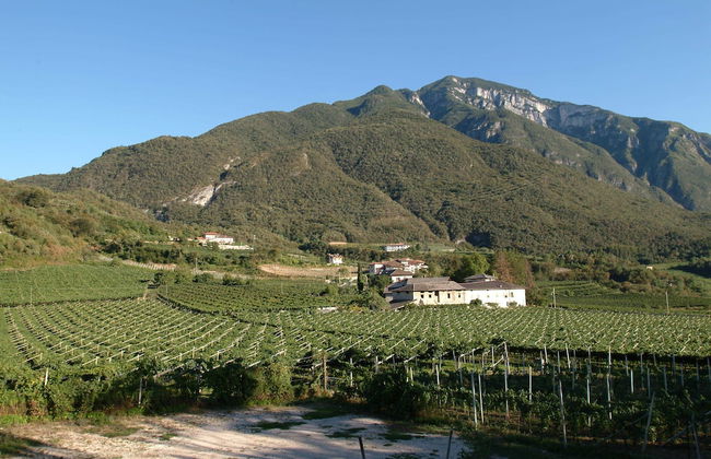 Locanda del Bel Sorriso - Villa Bertagnolli Guest House - Foto 55