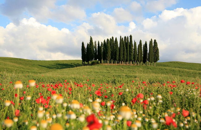 La Vittoria 10 - La Soglia della Val d'Orcia - Foto 68