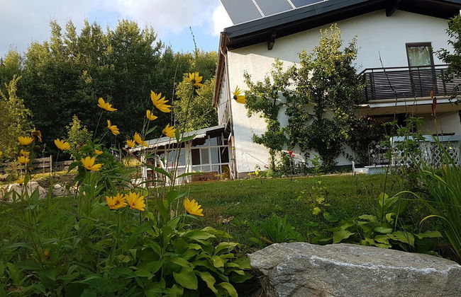 Ferienhaus Mauth - Photo 49