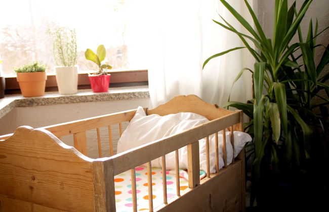 Ferienhaus Mauth - Photo 40