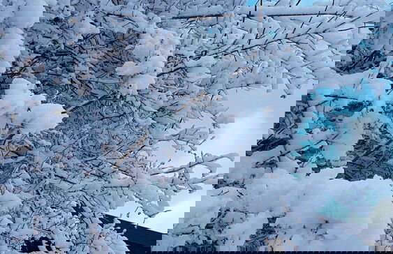 Ferienhaus Mauth - Photo 44