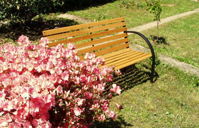 Apartmani Kestenovi dvori - Foto 18
