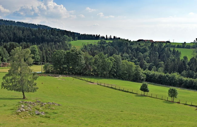 Alpine View Wellness Escape - Foto 37