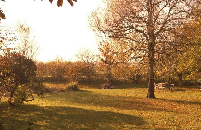 Dorotheenhof - Foto 19