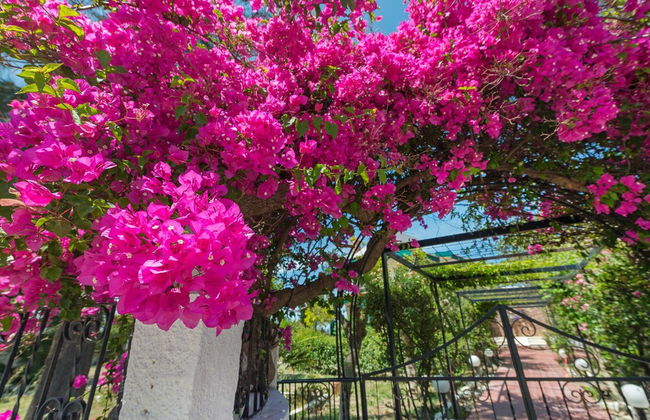 Villas Marianna - Foto 39