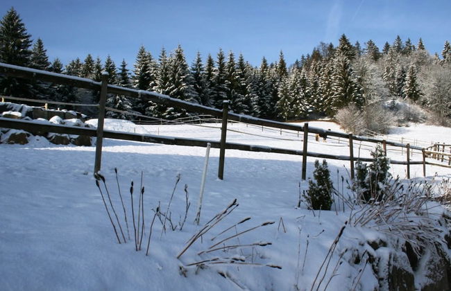 Apartment in Dachsberg-urberg - Foto 14