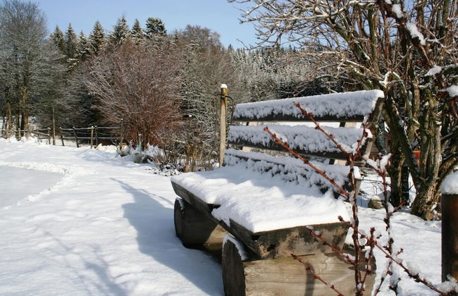 Ferienwohnung im Schwarzwald mit Garten - Foto 37