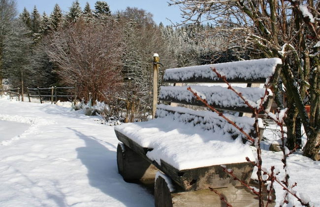 Apartment in Dachsberg-urberg - Foto 19