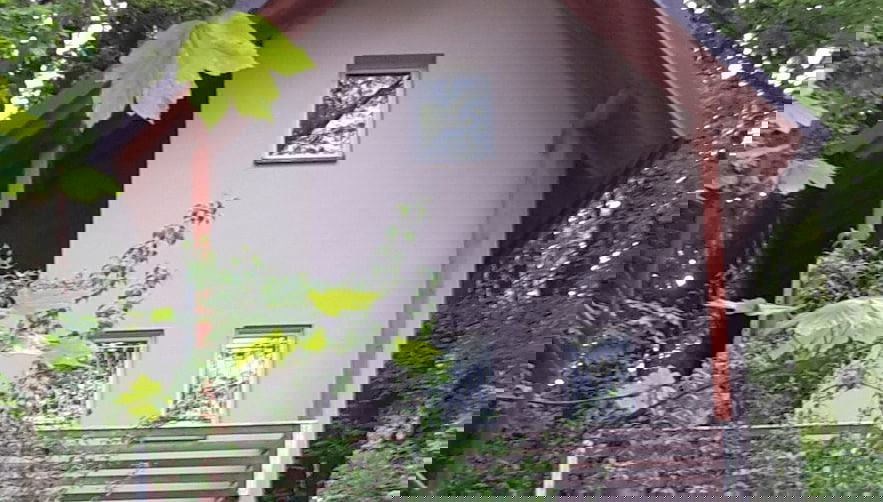 Imagem principal