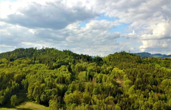 Peaceful Holiday Home in Holin With Garden - Foto 24