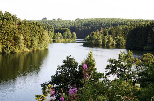 Photo 27 - Luxury Apartment With Sauna Over a Lake