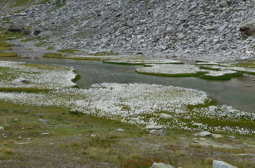 Photo 54 - Haus Amici, Saas-Grund