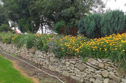 Photo 26 - Murphy's Irish Farmhouse Near Ballybunion