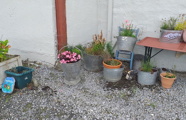 Murphy's Irish Farmhouse Near Ballybunion - Photo 20