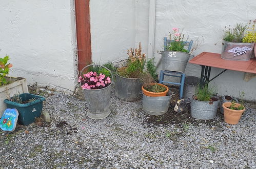 Foto 21 - Murphy's Irish Farmhouse Near Ballybunion