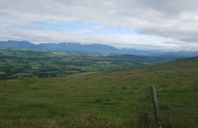 Murphy's Irish Farmhouse Near Ballybunion - Photo 16