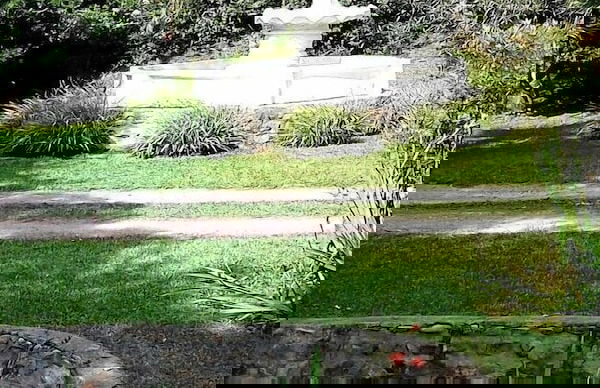 Quinta Valvanera - Foto 35