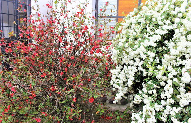 Quinta Valvanera - Foto 38