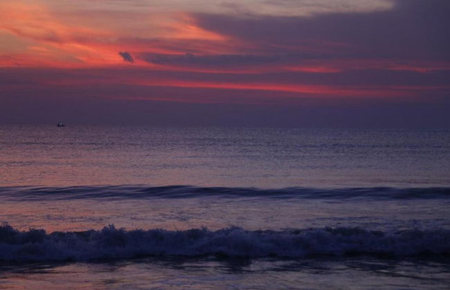 Oostduinkerke Forestside Villa - Foto 39