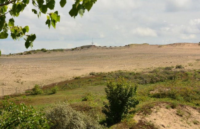 Oostduinkerke Forestside Villa - Foto 36